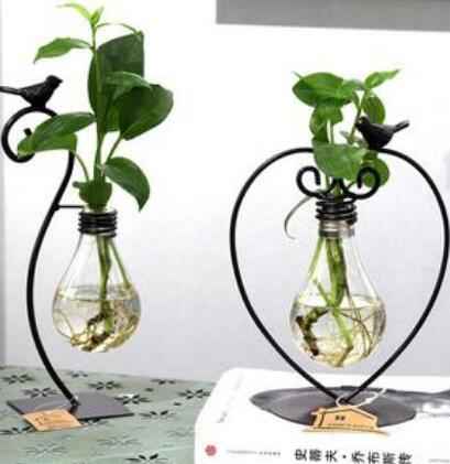 Pot de fleurs hydroponique en verre avec support en acier pour plantes vertes d'intérieur