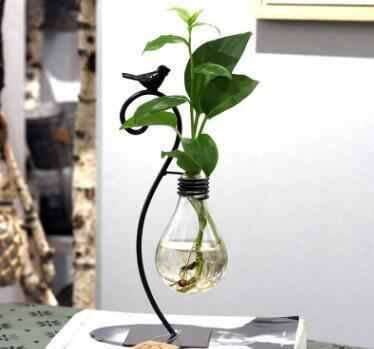 Pot de fleurs hydroponique en verre avec support en acier pour plantes vertes d'intérieur