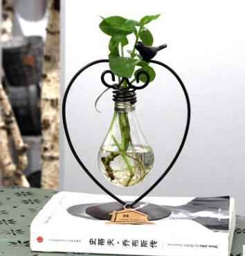 Pot de fleurs hydroponique en verre avec support en acier pour plantes vertes d'intérieur